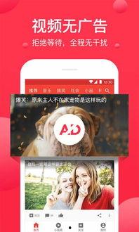 娱乐吃瓜酱素材视频下载,素材视频下载背后的秘密