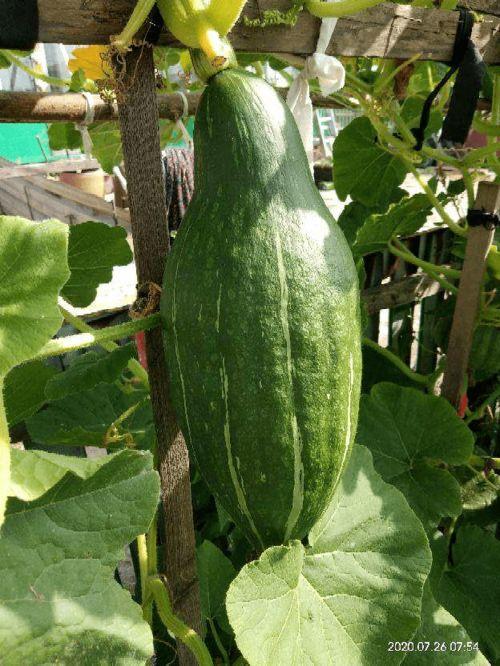 花花娱乐圈吃瓜,揭秘明星幕后那些事儿