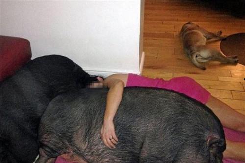 女生微信发吃瓜是什么意思