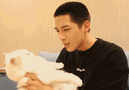 王安宇娱乐吃瓜