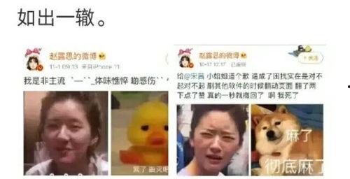 吃瓜吐槽娱乐圈文,吃瓜群众吐槽大会