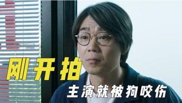 娱乐吃瓜君道歉视频,深度反思，重塑形象