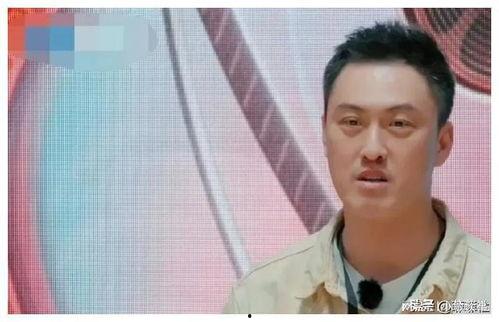 娱乐圈的吃瓜现状,揭秘吃瓜群众的狂欢盛宴 第3张 娱乐圈的吃瓜现状,揭秘吃瓜群众的狂欢盛宴 第3张