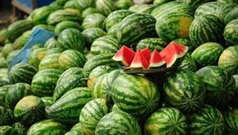 五一吃瓜每日必吃今日分享 第3张 五一吃瓜每日必吃今日分享 第3张